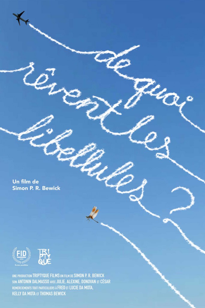 DeQuoiReventLesLIbellules
